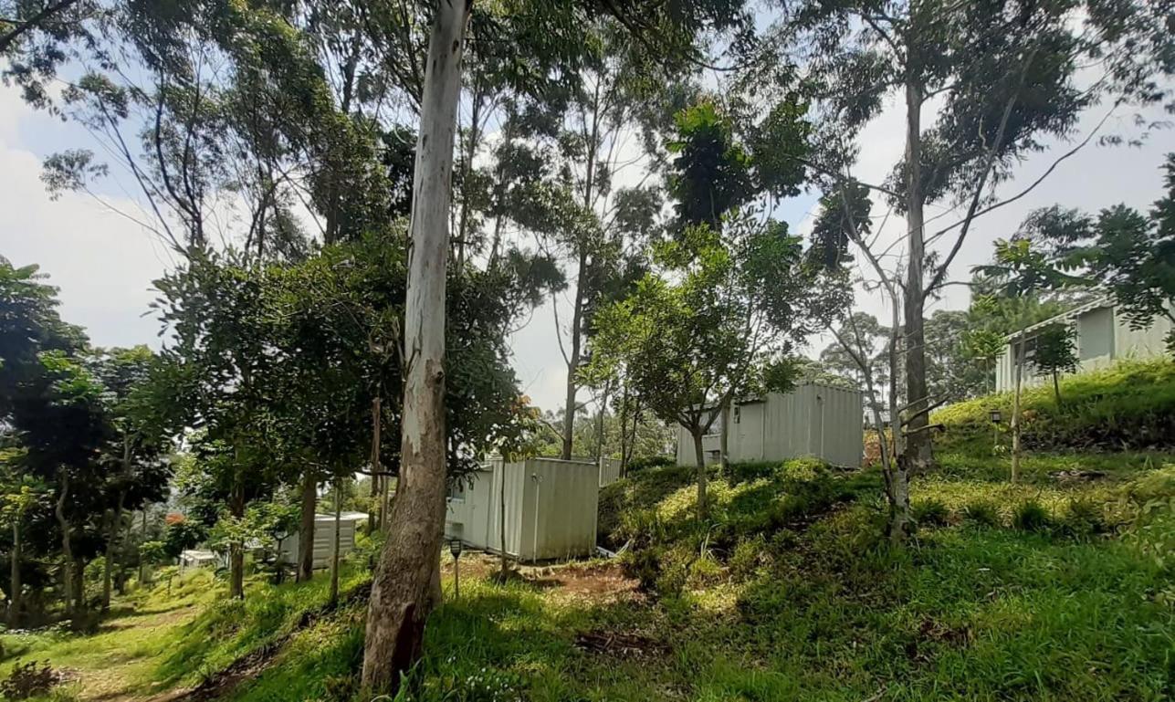 Hotel Bukit Pinus Tegalharendong Dış mekan fotoğraf