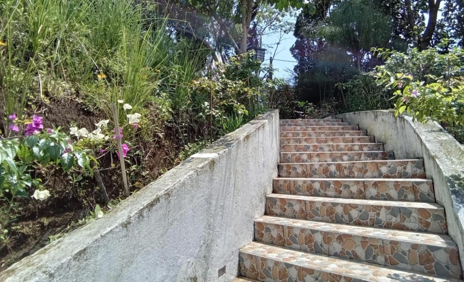 Hotel Bukit Pinus Tegalharendong Dış mekan fotoğraf