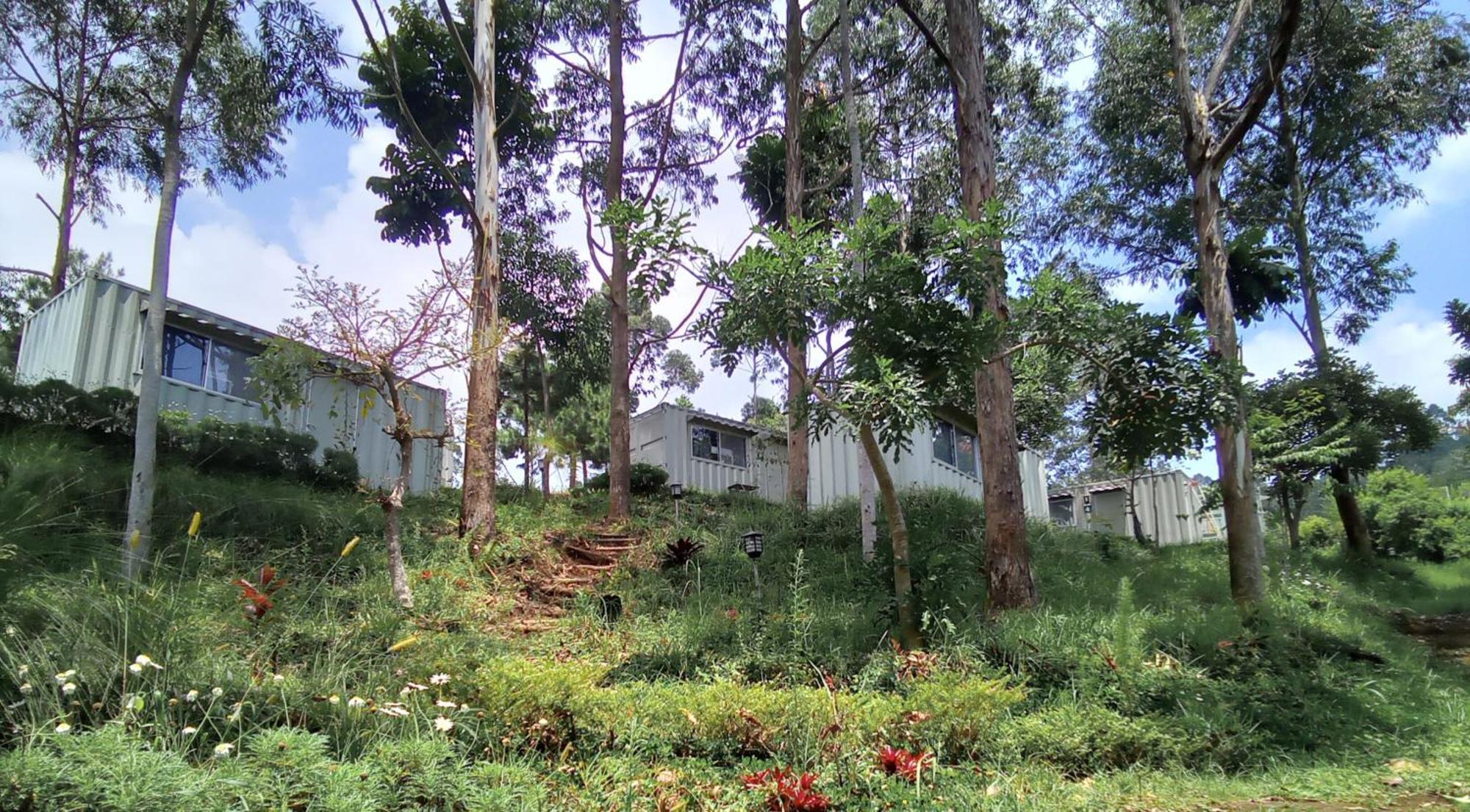 Hotel Bukit Pinus Tegalharendong Dış mekan fotoğraf